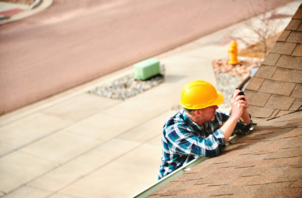 Best Roof Gutter Cleaning  in Gardnerville, NV